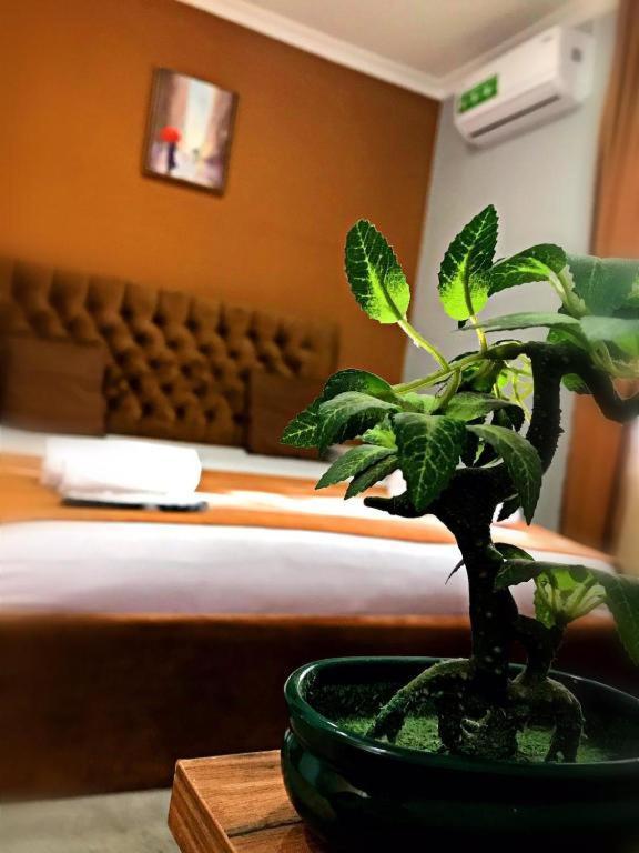 Geo Hotel 第比利斯 外观 照片